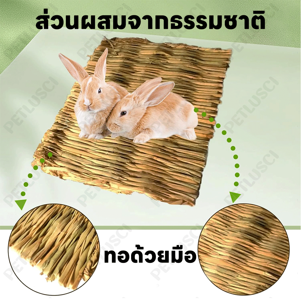 PETLUSCI ที่นอนหญ้าแห้ง ที่นอนทำจากหญ้าแห้งสำหรับกระต่าย สำหรับ กระต่าย แฮมเตอร์ เม่น ดัมโบ้แรท ชินชิล่า - รูปที่ 2