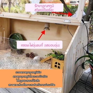 กรงหนูแฮมสเตอร์ไม้, ตู้สัตว์สําหรับหนูแฮมสเตอร์ซีเรียแคระ, หนูแฮมสเตอร์ที่อยู่อาศัยที่มีด้านบนเปิดและแผ่นอะคริลิคขนาดใ