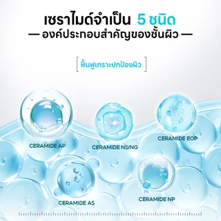 PAPA FEEL 5X Ceramide Barrier ครีมกู้ผิวเร่งด่วน ลดสิวและอาการระคายเคือง | บำรุงผิวให้ชุ่มชื้นอย่างล้ำลึก | เหมาะสำหรับผิวแพ้ง่าย Moisturizing Cream 30g