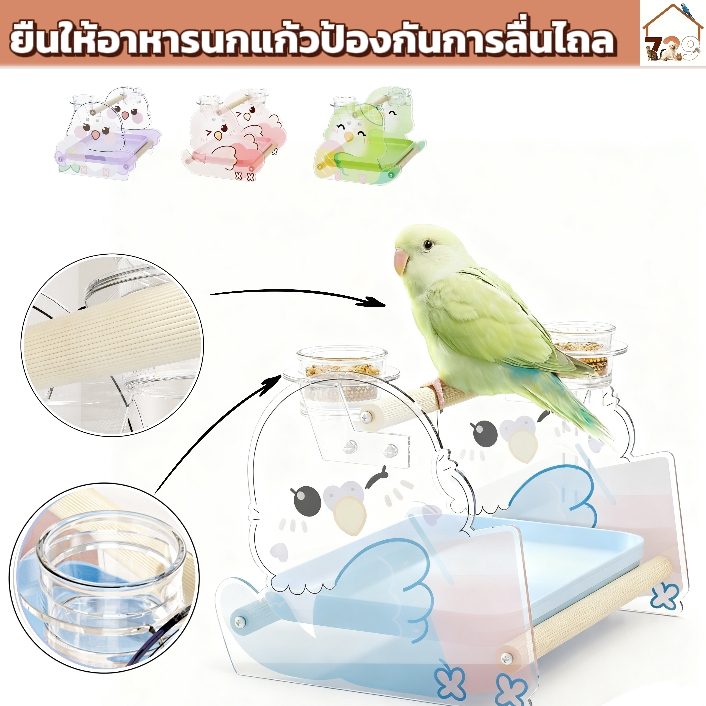 729สถานีให้อาหารนกแก้วกันลื่นออกแบบนกแก้วน่ารักลดกรงเมส