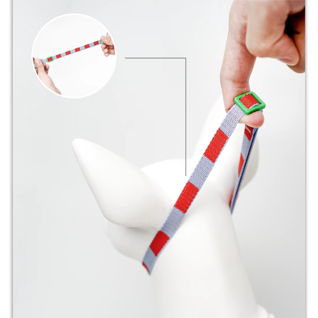 รูปภาพ 2