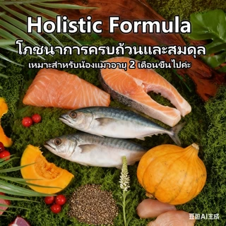 Deeplove holistic รสปลาแซลมอน 1กก. อาหารแมว