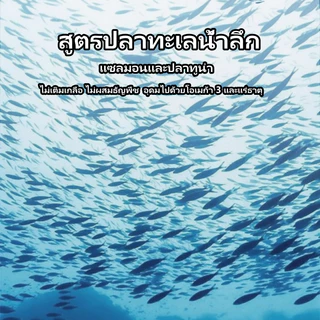 Deeplove holistic รสปลาแซลมอน 1กก. อาหารแมว