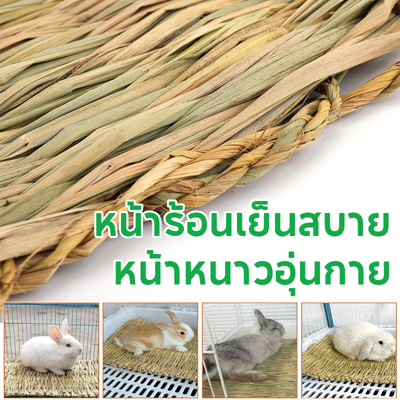 ที่นอนหญ้าแห้ง เสื่อหญ้ากระต่าย🐰🐹รองพื้นกรงกินได้ สำหรับ กระต่าย หนูตะเภา แฮมเตอร์ เม่น ดัมโบ้แรท - รูปที่ 2
