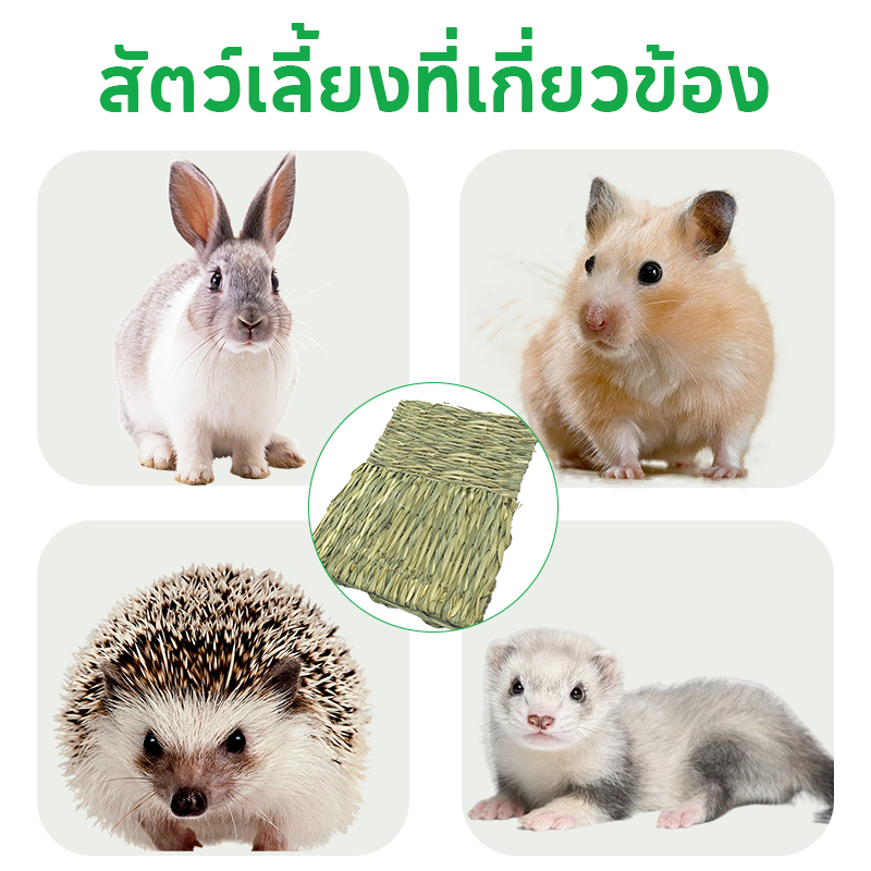 ที่นอนหญ้าแห้ง เสื่อหญ้ากระต่าย🐰🐹รองพื้นกรงกินได้ สำหรับ กระต่าย หนูตะเภา แฮมเตอร์ เม่น ดัมโบ้แรท - รูปที่ 3