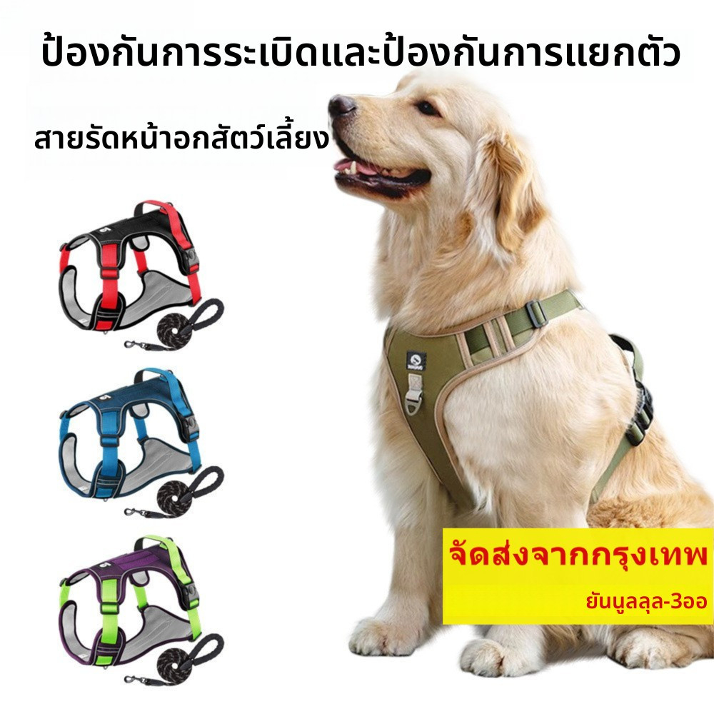 สายรัดอกสุนัข สะท้อนแสง 360° ป้องกันการระเบิดกระโจน วัสดุกันแทะทนกัด ปรับได้ทุกขนาด ระบายความร้อนผ้าไนล่อน ปลอดภัยสำหรับการเดินทาง เหมาะสุนัขขนาดเล็กกลางใหญ่ ลาบราดอร์โกลเด้น