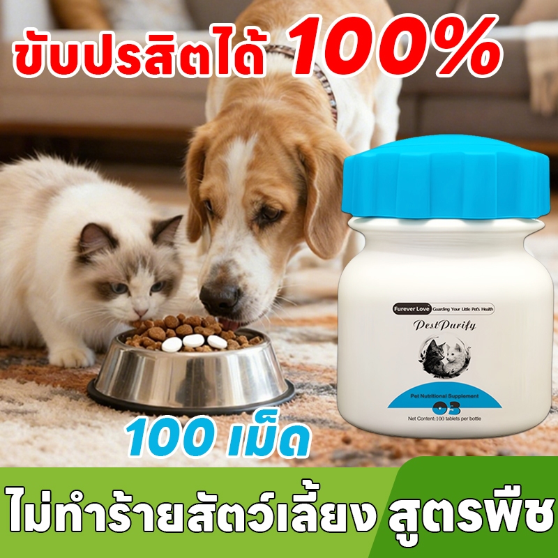 ⚡ขับพยาธิได้รวดเร็ว⚡SA PetCare กำจัดพยาธิ ถ่ายพยาธิ พยาธิตัวกลม พยาธิตัวตืด พยาธิแส้ม้า พยาธิปากขอ ขวดหนึ่งมี 100 เม็ด สร้างภูมิต้านเชื้อ