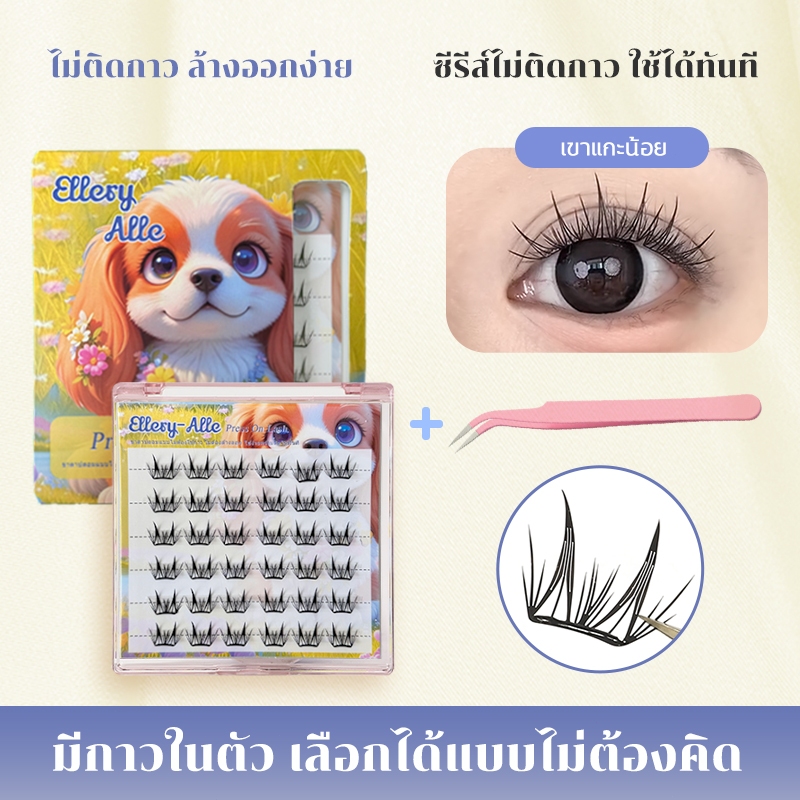 6 แถว/36 คลัสเตอร์ ขนตาปลอมขนตาติดด้วยตนเองธรรมชาติคุณภาพสูงนํากลับมาใช้ใหม่ได้