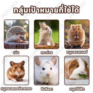 🐰กิ่งแอปเปิ้ล ไผ่หวาน🐹500g ไม้แอปเปิ้ล ไม้ลับฟันสัตว์เลี้ยง สำหรับสัตว์ฟันแทะ กระต่าย,แพรี่ด็อก,ชูการ์,แฮมเตอร์