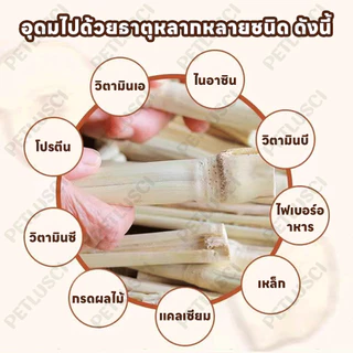 🐰กิ่งแอปเปิ้ล ไผ่หวาน🐹500g ไม้แอปเปิ้ล ไม้ลับฟันสัตว์เลี้ยง สำหรับสัตว์ฟันแทะ กระต่าย,แพรี่ด็อก,ชูการ์,แฮมเตอร์