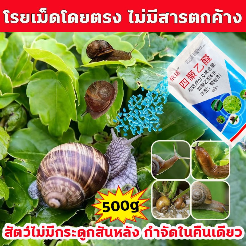 ยาฆ่าหอยทาก สัตว์ไม่มีกระดูกสันหลัง กำจัดในคืนเดียว กำจัดหอยทาก โรยเม็ดโดยตรง ไม่มีสารตกค้าง ฆ่าหอยทาก ฆ่าทันทีหลังฉีดพ่น ยาฆ่าหอย กำจัดหอยทากทั้งหมด  ยาหอย