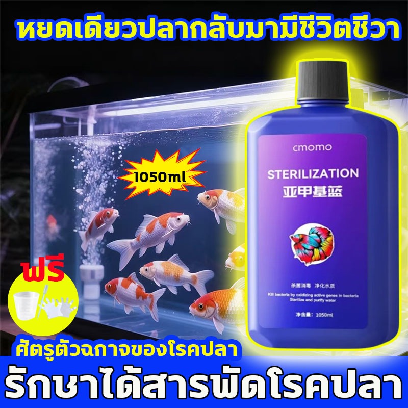 methylene blue1050ml สามารถรักษาโรคปลาเป็นร้อยชนิดได้ ยารักษาปลา หยดเดียวปลากลับมามีชีวิตชีวา เมทาลีนบลู ของจำเป็นสำหรับการเลี้ยง รักษาโรค ป้องกัน 2 in 1 เมทิลีน บลูอ่