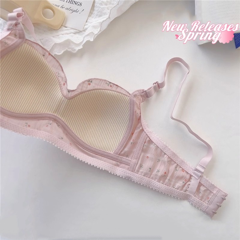 รูปภาพ 7