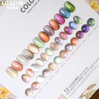 พร้อมส่งในไทย Colorful Girl 12 สี เจลแคทอายออโรร่า (Cat Eye Aurora Gel) สีเจลแคทอายเนื้อซาติน 12ml ลูกแก้ว ฟรีชาร์ทสี Cat eye