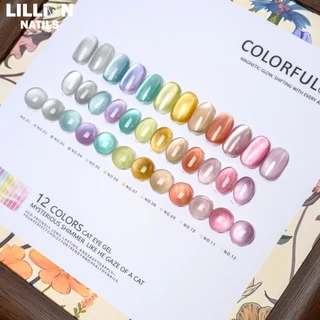 พร้อมส่งในไทย Colorful Girl 12 สี เจลแคทอายออโรร่า (Cat Eye Aurora Gel) สีเจลแคทอายเนื้อซาติน 12ml ลูกแก้ว ฟรีชาร์ทสี Cat eye