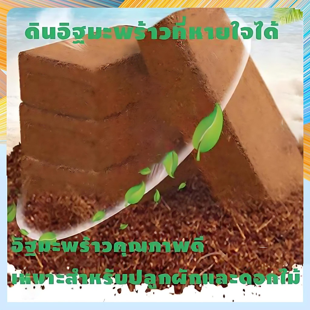 ✨ ขุยมะพร้าวอัดก้อน ดินปลูก 350g   พองตัวเร็ว ปลูกต้นไม้/สวยไม้ สารอาหารอินทรีย์ ปลอดสารเคมี