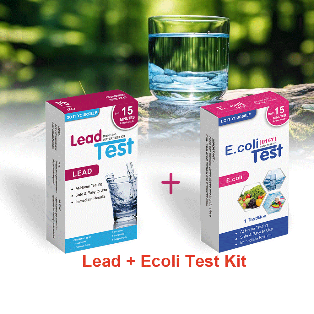 Lead Test + E coli Test Card Combo สําหรับชุดทดสอบน้ําที่บ้านสําหรับน้ําประปาและดี