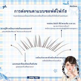 Dark Brown ดอกไม้กระต่ายขนตาปลอมสไตล์ใสธรรมชาติสามเณรจําลอง Segmented Self-Adhesive Eyelashes