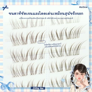 Dark Brown ดอกไม้กระต่ายขนตาปลอมสไตล์ใสธรรมชาติสามเณรจําลอง Segmented Self-Adhesive Eyelashes