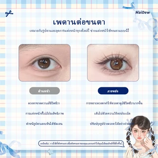 Dark Brown ดอกไม้กระต่ายขนตาปลอมสไตล์ใสธรรมชาติสามเณรจําลอง Segmented Self-Adhesive Eyelashes
