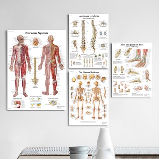 ภาพโปสเตอร์ผ้าใบ รูปโครงกระดูก สําหรับตกแต่งผนัง