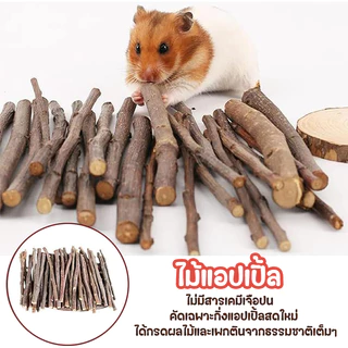 ไม้แอปเปิ้ล ไม้ไผ่หวาน 500g🐹🐰ขนมลับฟัน ธรรมชาติ สำหรับ กระต่าย เม่นแคระ หนูแฮมเตอร์ และสัตว์ฟันแทะอื่น