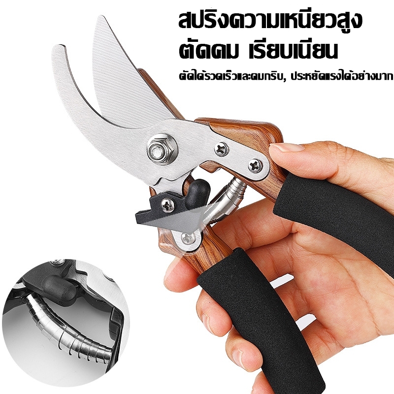 ยี่ห้อ ผลิตภัณฑ์ คําอธิบาย สค5 กิ่งไม้ เครื่องตัดขนาดใหญ่สาขาตัดสวนเครื่องมือสแตนเลสตัดมีดตัดมีดตัดบอนไซเครื่องตัดไม้ตัดตัดมีดฤดูใบไม้ผลิสาขาลูกบาศ์ก - รูปที่ 5