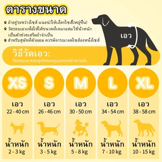 ผ้าอ้อมสําเร็จรูปแบบดูดซับ Dono สําหรับสุนัขขนาดเล็ก Cats Secure Leak Proof Fit for Females & Males ผ้าอ้อม