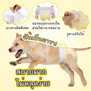 ผ้าอ้อมสําเร็จรูปแบบดูดซับ Dono สําหรับสุนัขขนาดเล็ก Cats Secure Leak Proof Fit for Females & Males ผ้าอ้อม