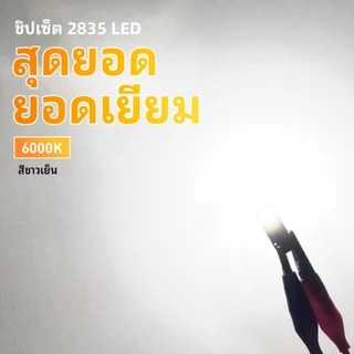 AUXITO 2PC หลอดไฟ T10 W5W LED Canbus Error 2835 SMD 6000K สีขาว สําหรับติดป้ายทะเบียนรถยนต์