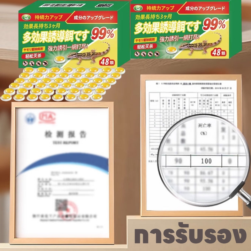 48 เม็ด！ยาฆ่าจิ้งจก  ยาจิ้งจก ไล่จิ้งจก ยาฆ่าตุ๊กแก ยากำจัดตุ๊กแก ฆ่าจิ้งจก เห็นผลทันที - รูปที่ 6