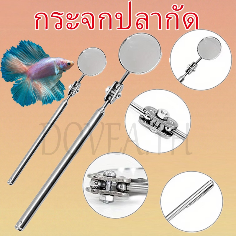 ไม้ล่อปลากัด กระจกล่อปลา กระจก ปลากัด 3cm 5cm ยืดพับได้ สำหรับล่อปลากัด
