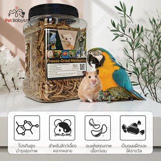 PETLUSCI® ผงหนอนนก หนอนอาหาร หนอนอบแห้ง อาหารหนูแฮมเตอร์ hamster โปรตีนสูง อาหารนก เต่า ขนาด 1300ml