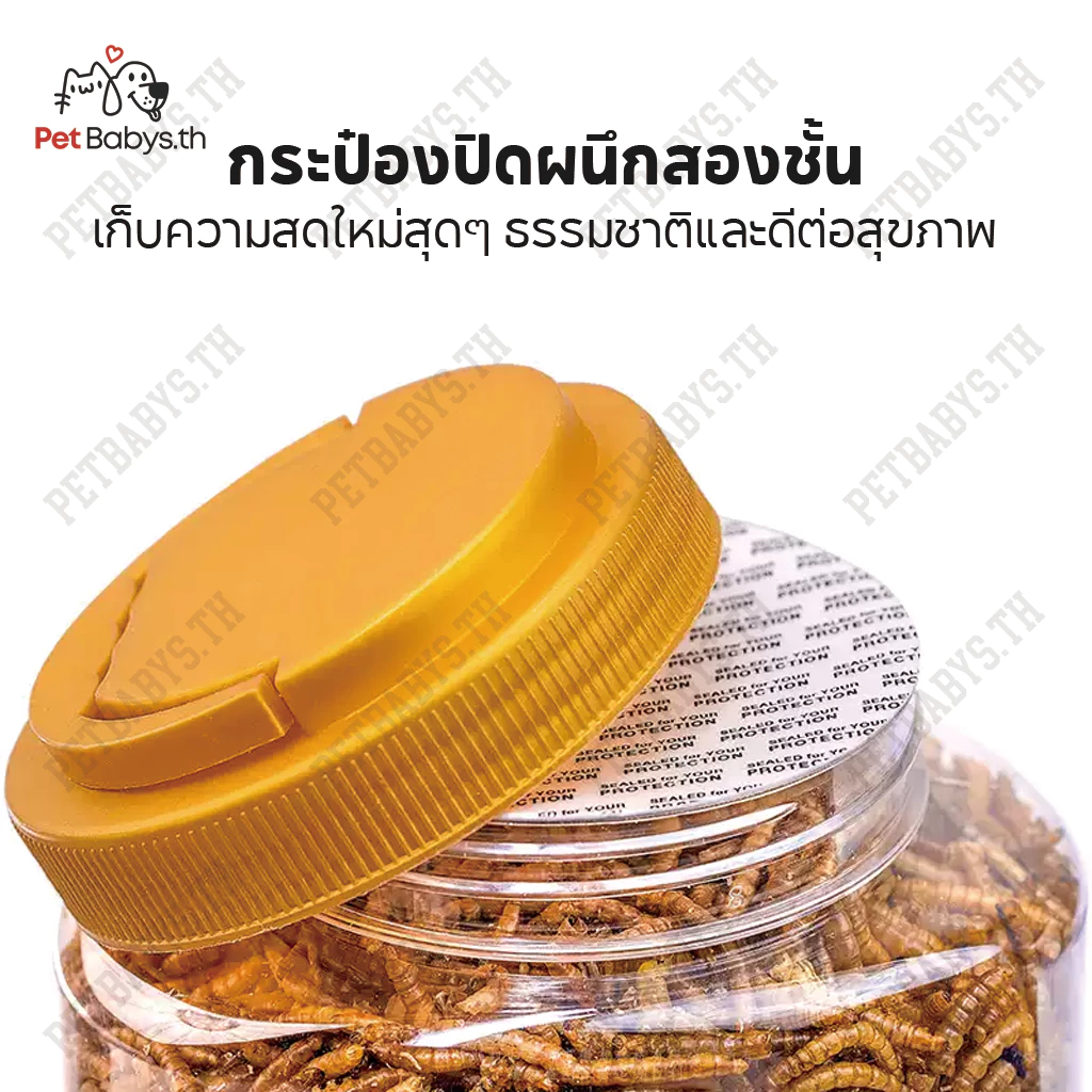 PETLUSCI ผงหนอนนก หนอนอบแห้ง อาหารหนูแฮมเตอร์ นก เต่า 1300ml thumbnail 9