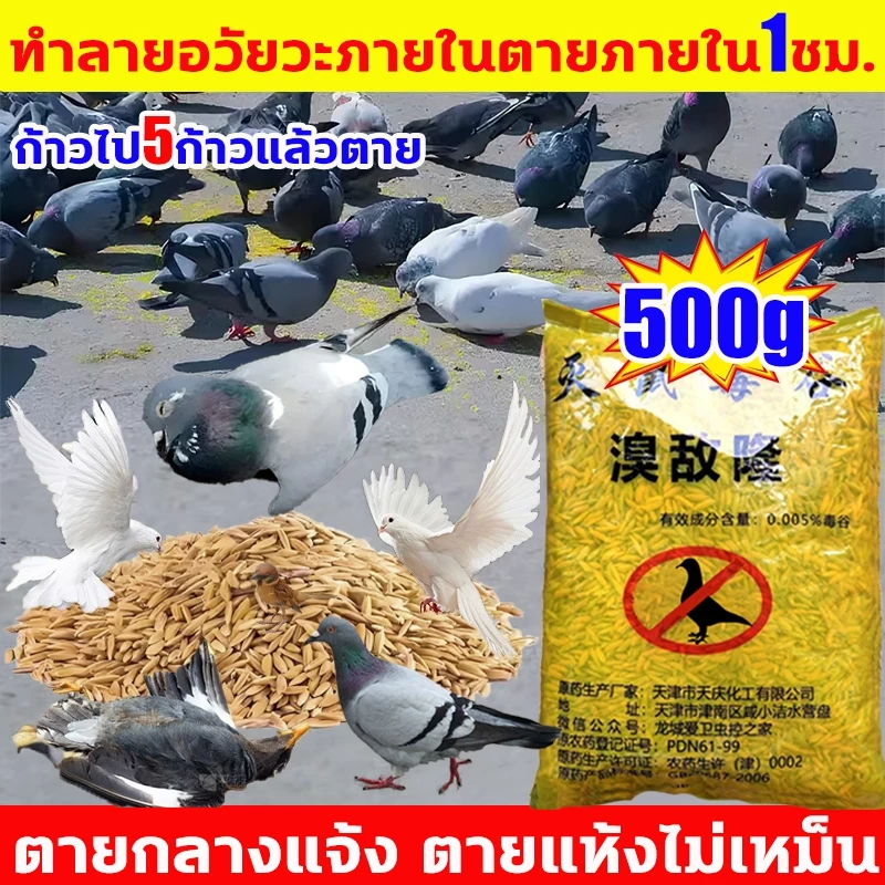 ยาเบื่อนกพิราบกำจัดพิราบและนกทุกชนิด เหยื่อกำจัดนก ยาฆ่านกพิราบ 500กรัม ยากำจัดนกพิราบ ทำลายอวัยวะภายในตายใน 1วัน แห้งเร็วและไม่มีกลิ่น กินง่ายตายไว ชนิดไม่ต้องผสมอาหาร เห็นผลชัวร์ 100% ไม่มีนกรบกวน ไล่ถาวร ไล่