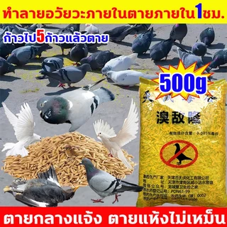 ยาเบื่อนกพิราบกำจัดพิราบและนกทุกชนิด เหยื่อกำจัดนก ยาฆ่านกพิราบ 500กรัม ยากำจัดนกพิราบ ทำลายอวัยวะภายในตายใน 1วัน แห้งเร็วและไม่มีกลิ่น กินง่ายตายไว ชนิดไม่ต้องผสมอาหาร เห็นผลชัวร์ 100% ไม่มีนกรบกวน ไล่ถาวร ไล่