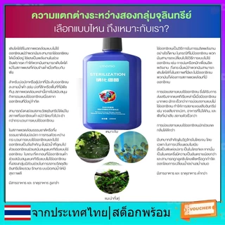 จุลินทรีย์ แบคทีเรีย บ่อปลา ลดปลา ย่อยสลายของเสีย