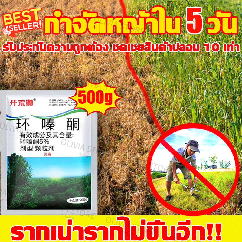 ไม่กลัวฝน! สารกำจัดวัชพืช ยาฆ่าวัชพืช500g แค่โรยเพียงเล็กน้อย เน่าถึงราก ยากำจัดต้น สารกำจัดกอไผ่ กำจัดต้นไม้ ยากำจัดวัชพืช ยาคุมหญ้า น้ำยากำจัดวัชพืช ยาฆ่าตอต้นไม้ ยากำจัดต้นไม้ สารกำจัดต้นไม้ ผงฆ่าต้นไม้ ยาฆ่าต้นไม้ใหญ่ ยาฆ่าไผ่ ยาฆ่าตอไม้
