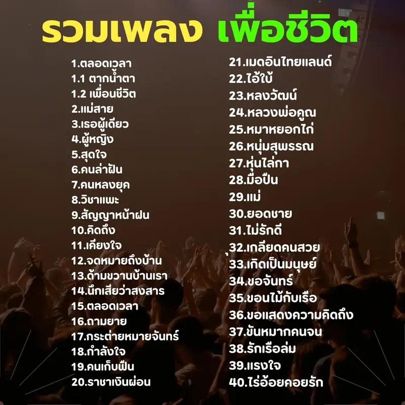 USB รวมเพลงเพื่อชีวิต เพื่อชีวิตเพราะๆหาฟังยาก MP3