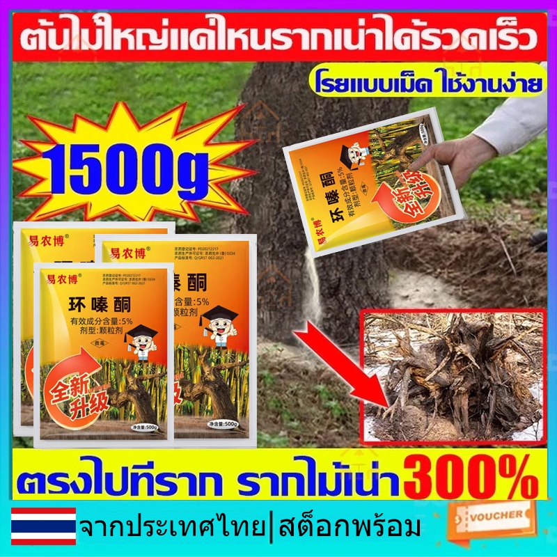 Racun Rumput Tabur 500g วัชพืชควบคุม Land Reclamation Hoe Removing Big Trees & ไม้ไผ่ Hexazinone Herbicide 5% เครื่องมือกําจัดหญ้า