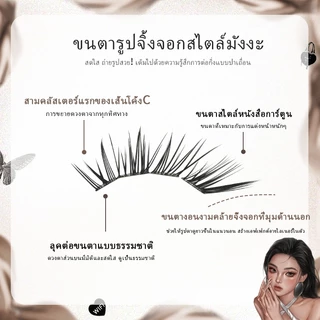ความรู้สึกการ์ตูนระดับไฮเอนด์ Fox ขนตาปลอม Asian Comic Feeling Segmented Self-Adhesive กล่องใหญ่