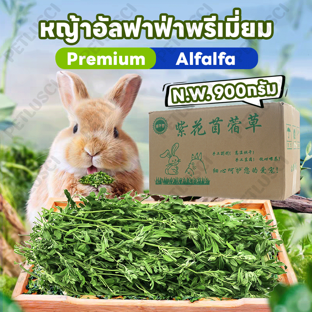 🐰Premium Alfalfa Hay หญ้าอัลฟาฟ่าพรีเมี่ยม หญ้ากระต่าย อบลมร้อน สำหรับกระต่าย หนูตะเภา หญ้ากระต่าย 1kg
