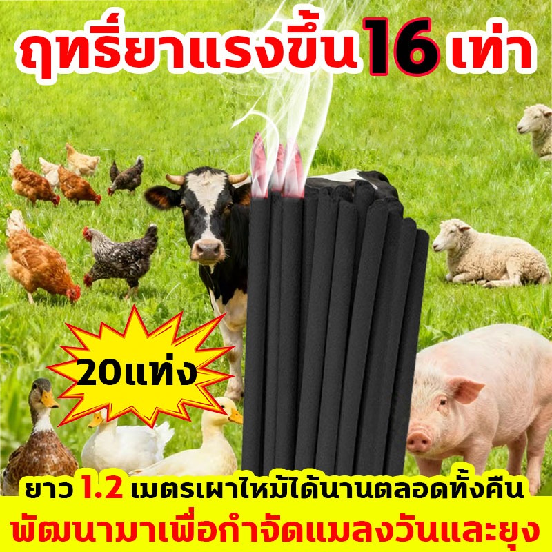 ธูปจัมโบ้ตะใครัไล่ยุง ใช้ได้กับสัตว์ตั้งท้อง เห็นผลใน1นาที ธูปจัมโบ้ตะไคร้ ไล่ กำจัดยุง กำจัดแมลงเม่า กำจัดแมลงสาบ กำจัดแมลงวัน ธูปตะไคร้ไล่ยุง ธูปไล่ยุ