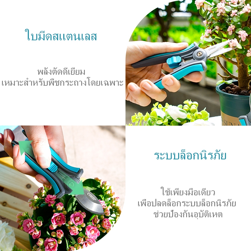 กรรไกรตัดกิ่งไม้ กรรไกรตัดต้นไม้กระถาง กรรไกรขนาดเล็ก เครื่องมือทำสวน เครื่องตัดใบไม้ เครื่องตัดกิ่ง คม น้ำหนักเบา กะทัดรัด สำหรับผู้หญิง สแตนเลสสตีล