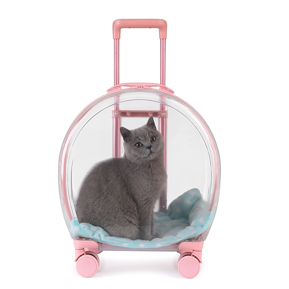 กระเป๋า Kucing โปร่งใส Cat Carrier กระเป๋า Kucing Cat Travel Beg Kucing กระเป๋าใส่สัตว์เลี้ยง กระเป๋