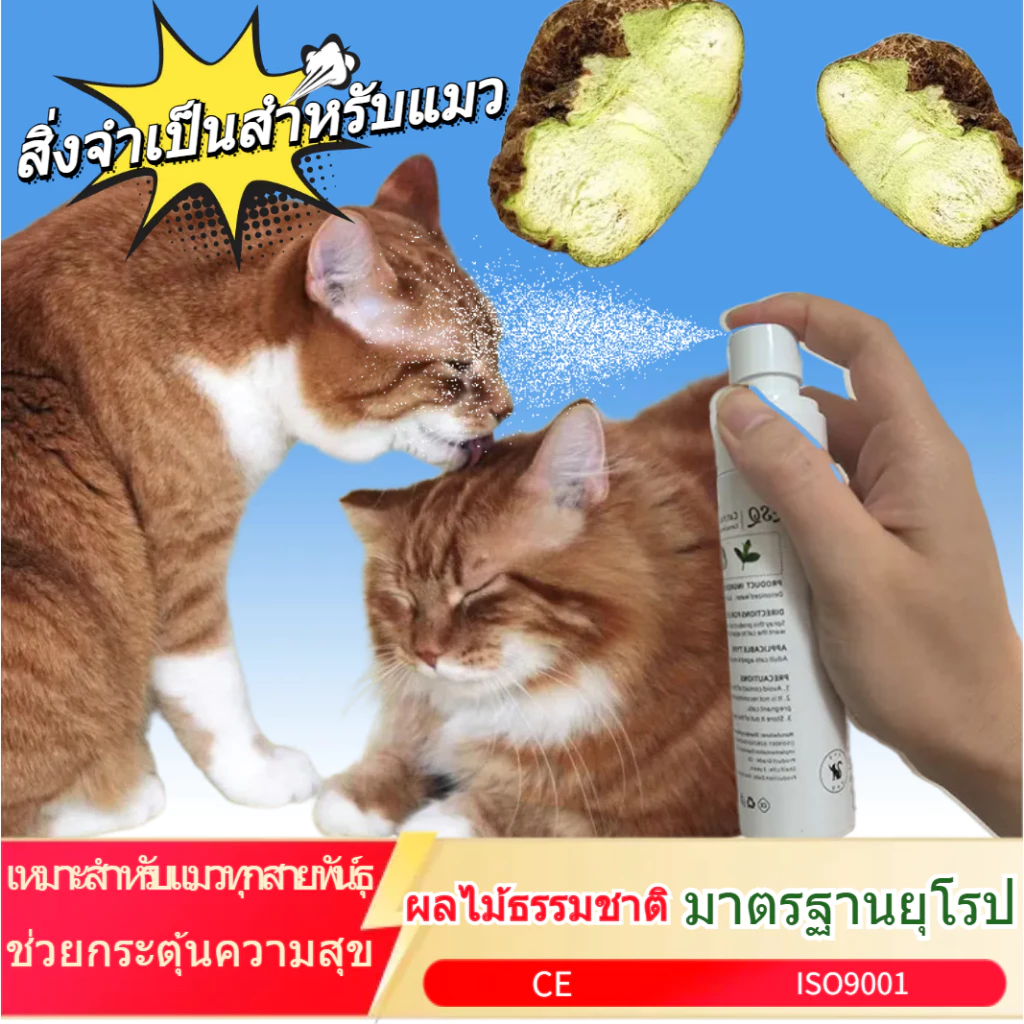 【ZSQ ของแท้ ระวังสินค้าลอกเลียนแบบ】สเปรย์ผ่อนคลายสำหรับสัตว์เลี้ยง สารสกัดจากผลกอลล์ ช่วยปลอบประโลมอารมณ์ ทำให้แมวผ่อนคลาย ลดความเครียด เพิ่มความสนุกสนาน thumbnail 3