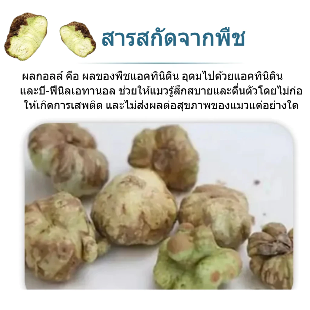 【ZSQ ของแท้ ระวังสินค้าลอกเลียนแบบ】สเปรย์ผ่อนคลายสำหรับสัตว์เลี้ยง สารสกัดจากผลกอลล์ ช่วยปลอบประโลมอารมณ์ ทำให้แมวผ่อนคลาย ลดความเครียด เพิ่มความสนุกสนาน thumbnail 5