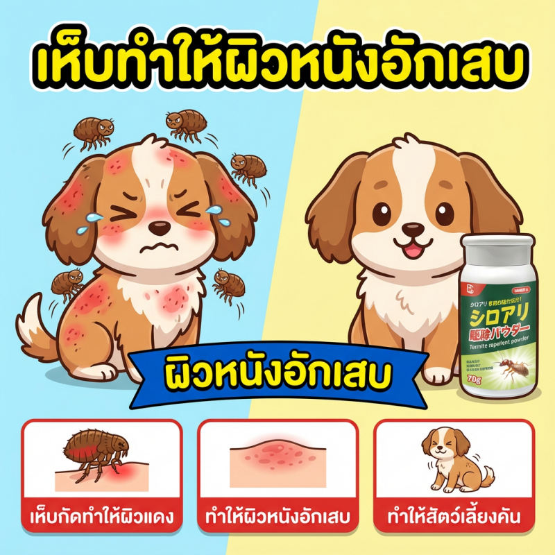 ผงทศกัณฑ์กำจัดเห็บหมัด แป้งผงกำจัดเห็บหมัด ผงกำจัดเห็บหมัด สำหรับน้องหมาและน้องแมว กำจัดตัวเบียน เช่น เห็บ หมัด