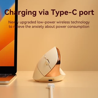 BOW MW261/MD190 Series เมาส์ตามหลักสรีรศาสตร์เมาส์สองโหมด 2.4G ไร้สาย/บลูทูธรุ่นชาร์จสําหรับเดสก์ท็อปโน้ตบุ๊คแล็ปท็อป