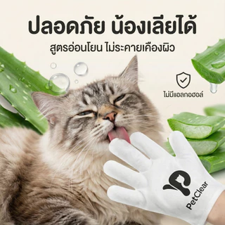 2 กล่อง แถมเพิ่มอีก 1 กล่องPetClear ถุงมืออาบน้ำแห้ง (10 ชิ้น) ผ้าเช็ดตัวแมว ทิชชู่เปียกหมา ดับกลิ่น